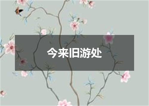 今来旧游处