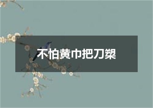 不怕黄巾把刀槊