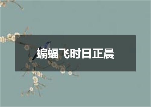 蝙蝠飞时日正晨
