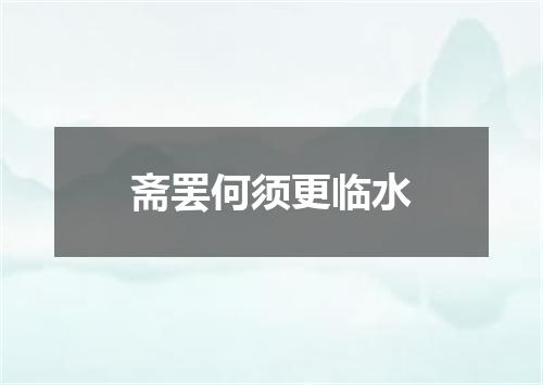 斋罢何须更临水