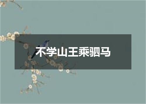 不学山王乘驷马