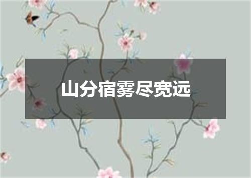 山分宿雾尽宽远