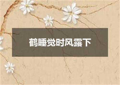 鹤睡觉时风露下