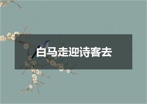 白马走迎诗客去