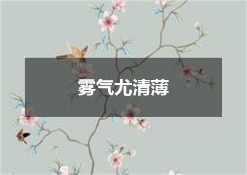 雾气尤清薄