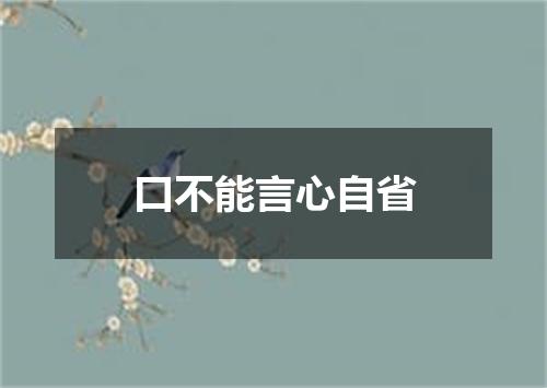 口不能言心自省