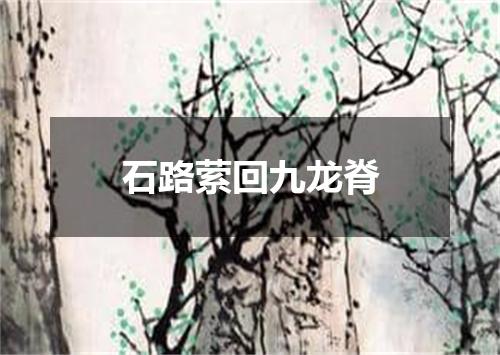 石路萦回九龙脊