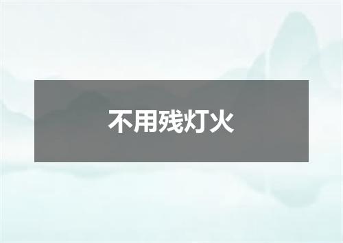 不用残灯火
