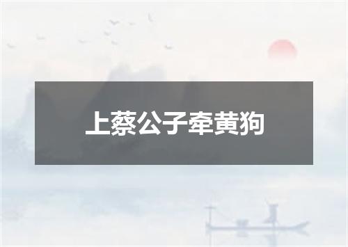 上蔡公子牵黄狗