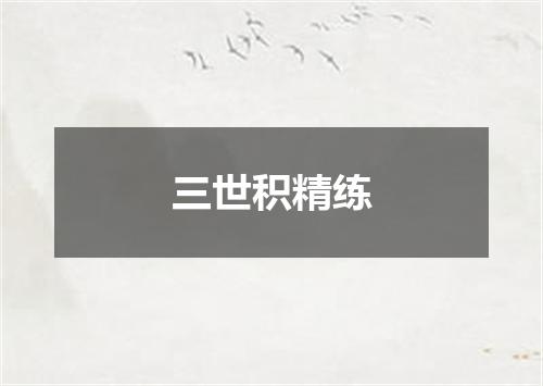 三世积精练