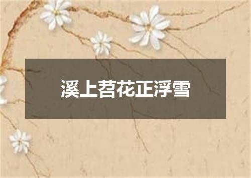 溪上苕花正浮雪