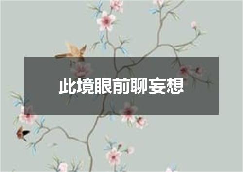 此境眼前聊妄想