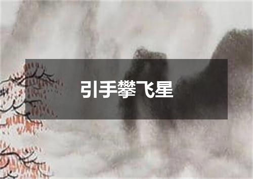 引手攀飞星