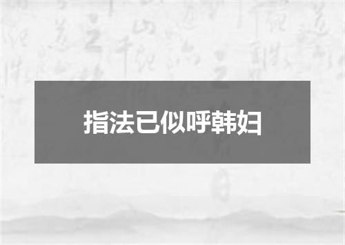 指法已似呼韩妇