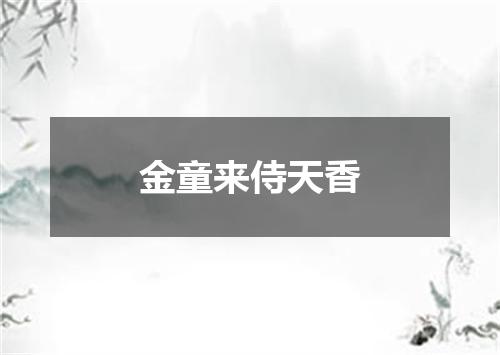 金童来侍天香