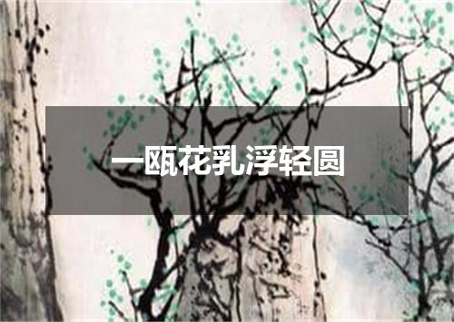一瓯花乳浮轻圆
