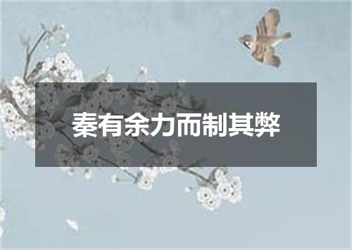 秦有余力而制其弊