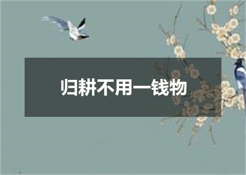 归耕不用一钱物