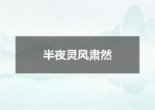 半夜灵风肃然