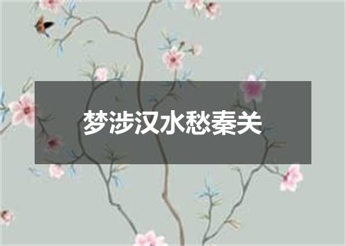 梦涉汉水愁秦关