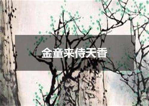 金童来侍天香