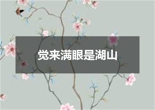 觉来满眼是湖山