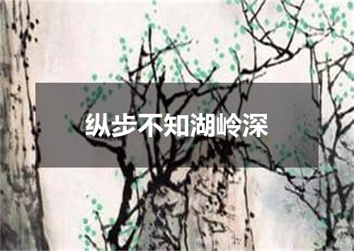 纵步不知湖岭深