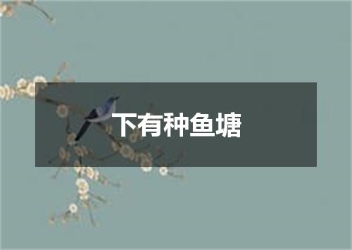 下有种鱼塘