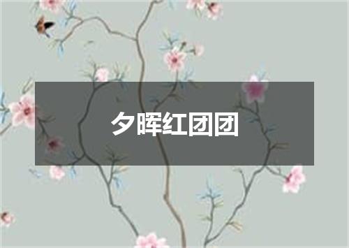 夕晖红团团