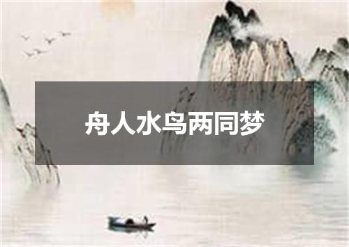 舟人水鸟两同梦
