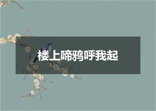 楼上啼鸦呼我起