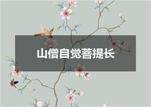 山僧自觉菩提长