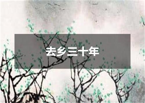 去乡三十年