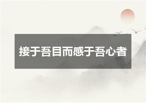 接于吾目而感于吾心者