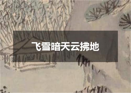飞雪暗天云拂地