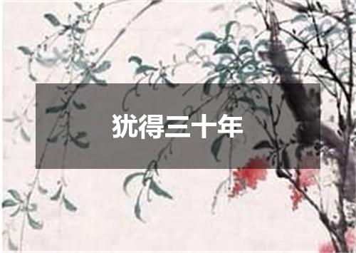 犹得三十年