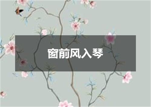 窗前风入琴