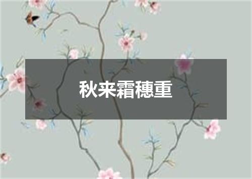 秋来霜穗重