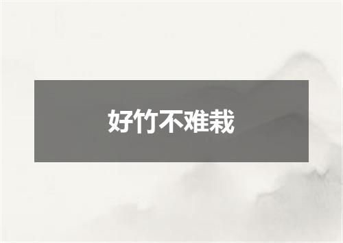 好竹不难栽