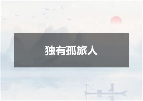 独有孤旅人
