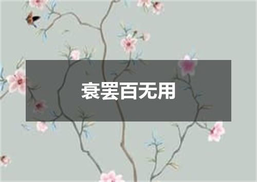 衰罢百无用