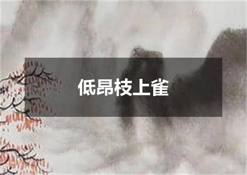 低昂枝上雀
