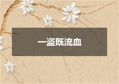 一盗既流血
