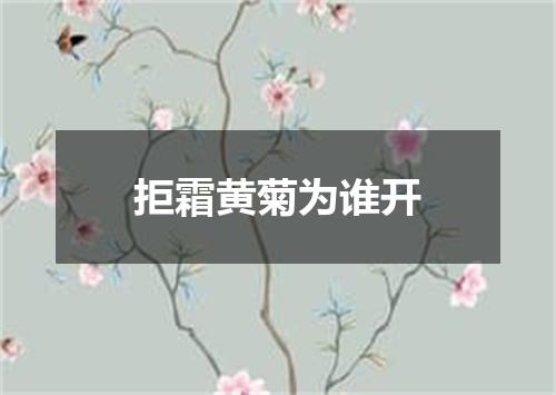 拒霜黄菊为谁开