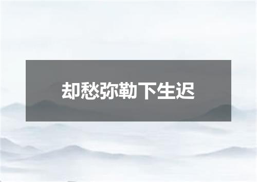 却愁弥勒下生迟