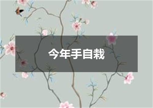 今年手自栽