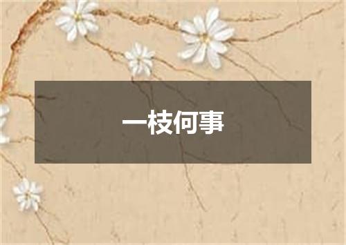 一枝何事