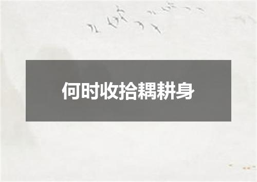 何时收拾耦耕身