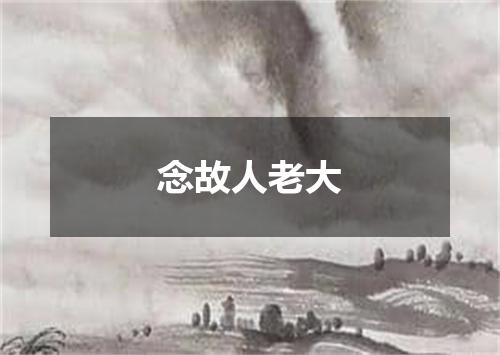 念故人老大
