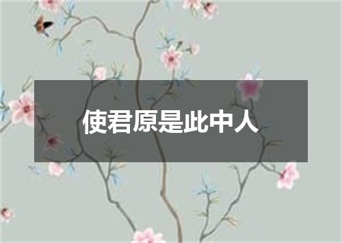 使君原是此中人